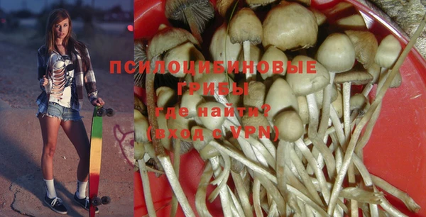 кокс Арсеньев