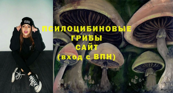 бошки Армянск